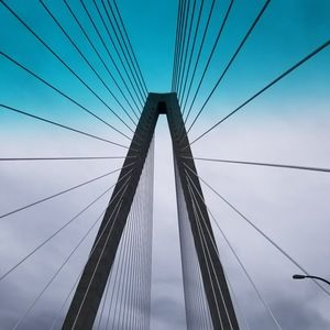 Meet your Posher, Randi